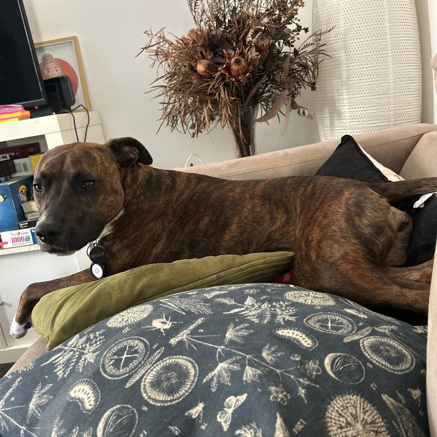 Montmorency - Photo 1