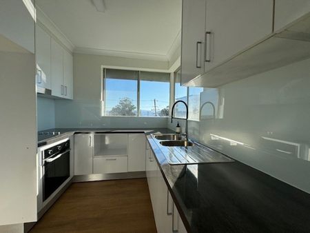 Central Belmont Apartment - Photo 3