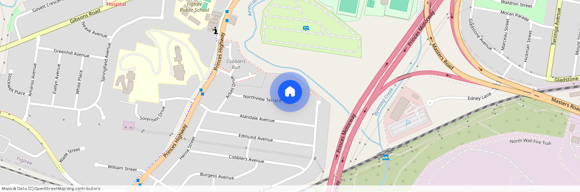 22 Northview Terrace, NSW 2525, Figtree