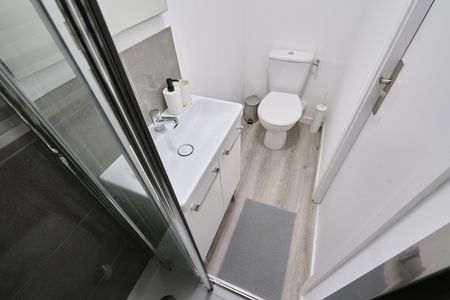 DENIS DU PEAGE Colocation 5 chambres à Lille - Photo 5