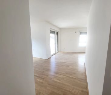 ERSTBEZUG! 2-Zimmer-Wohnung mit Balkon, Top 2 - Photo 4