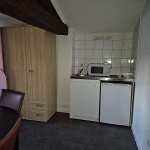 Location Appartement 1 pièce 19m² MACON 71000 - Photo 3