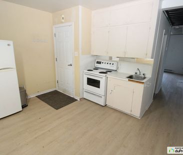 2 1/2-752, avenue Marguerite-Bourgeoys, Saint-Sacrement à louer - Photo 2