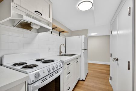 For Lease - 104 Carrick Avenue Unit# LOWER, Hamilton, Ontario - Photo 3