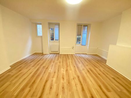 Location appartement 1 pièce 44.53 m² à Bourg-en-Bresse (01000) - Photo 4