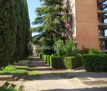 Appartamento via Guido De Ruggiero 8, Pisanova - Pardi, Pisa - Foto 4
