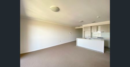 Near New top level skyline view 2bedrooms 2 bathrooms for rent Only $700 per week - Photo 2