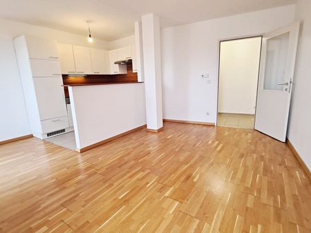 TERRASSENHIT, 61 m2 Dachgeschoß mit 48 m2 Terrasse, Wohnküche, 1 Zimmer, Wannenbad, Parketten, Fernblick, Holbeingasse - Photo 3