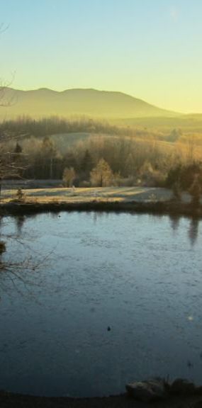 Chalet à louer Estrie situé sur domaine privé (lac,kayak,bicycle,nature sauvage,etc.) Près Owl's Head, Jay Peak et lac Memphrémagog - Photo 1