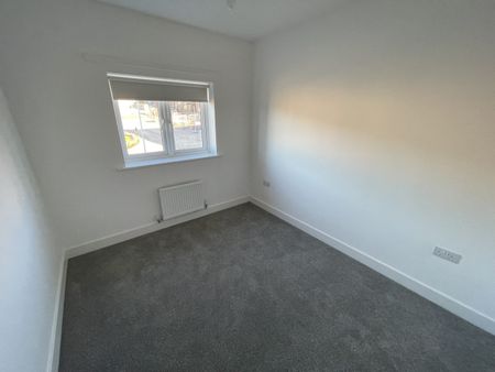 The Hawking - Photo 4