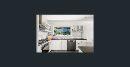 SATURDAYS OPEN CANECELLED - Photo 3