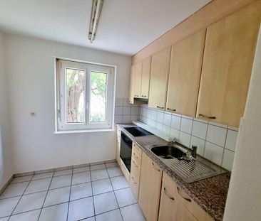 Frisch gestrichene Wohnung mit Grüne Umgebung - Foto 2