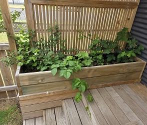 Designed with privacy & comfort in mind - Photo 1