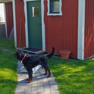 Ringstavägen, Bålsta - Foto 3
