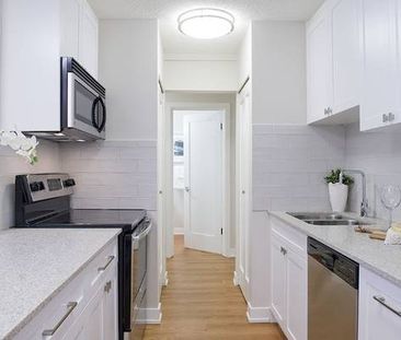 One-bed gem is renovated to perrrfection—luxury pet friendly living! - Photo 1