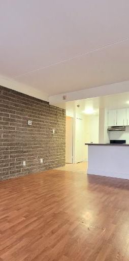 Loft à louer Montcalm / Saint-Sacrement janvier 2026 - Photo 1