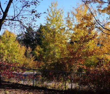 For Lease - 259 Glenway Circle, Newmarket, Ontario - Photo 6