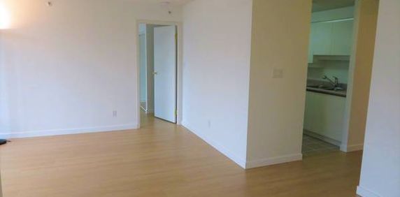 1 Bedroom + Solarium (2nd Bedroom) + Den Available for Rent - Photo 2