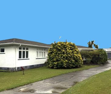 528 Wellington Road, Marton - Photo 5