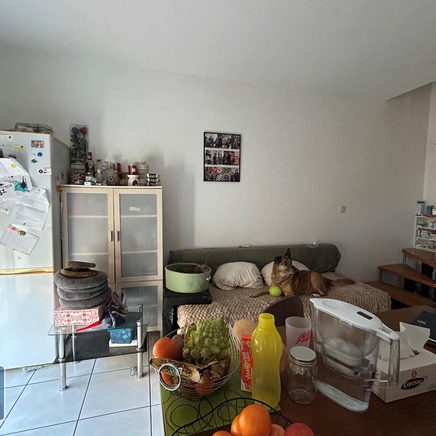 Location Maison 3 pièces 49m² VALRAS PLAGE 34350 - Photo 1