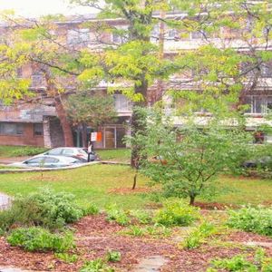 GRAND 4 1/2 PLACE DARLINGTON CARTIER Côte-des-Neiges - Photo 2