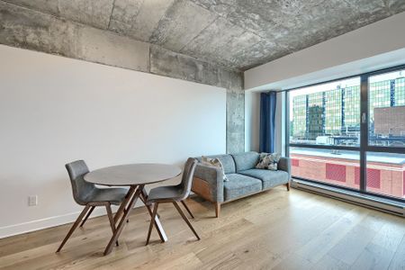 Condo for rent, Montréal (Ville-Marie) - Photo 5