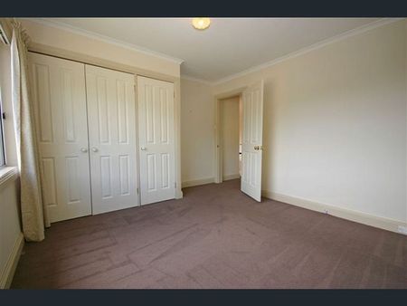 Sunny Three Bedroom Home! - Photo 3
