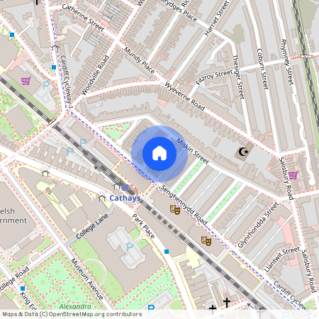 Llandough Street, CF24 4AW, Cathays