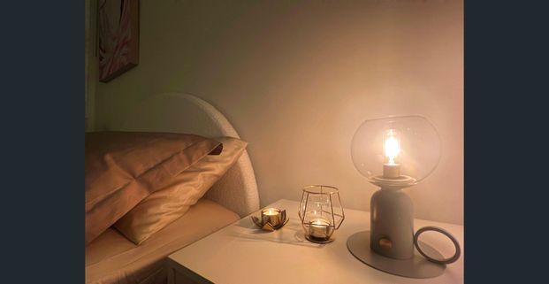 Fully Furnished Designer Apartment with Backyard for Rent - Photo 1