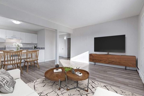 Renovated Suite - 1 Bedroom - Photo 1