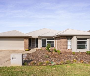 Spacious 4 Bedroom - Photo 1