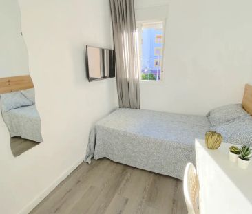 Room in a shared 4-bedroom apartment for rent in La Palmilla. - Photo 3
