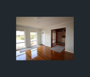 Neat as a pin - Photo 5