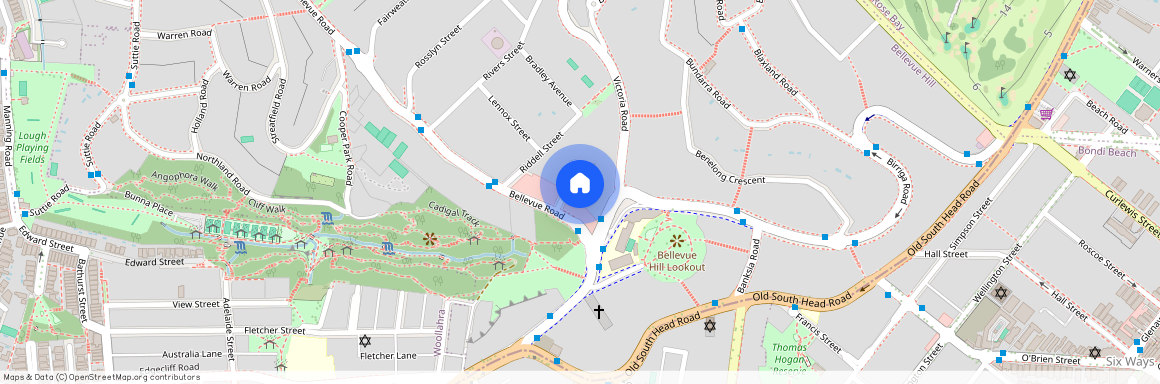 3 Buller Street, NSW 2023, Bellevue Hill