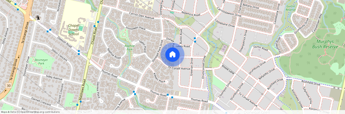 17a Dunaff Place, Flat Bush, Manukau City