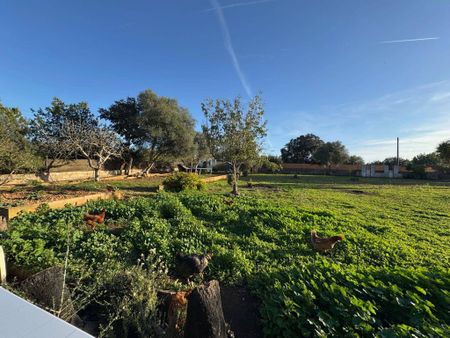 4 room luxury House for rent in Santa Eugènia, Balearic Islands - Photo 2