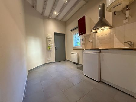 "LE DOUILLET" - Location Appartement tours : 16.7 m2 - Photo 2
