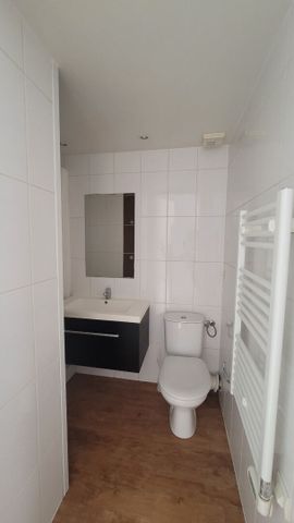 Location Appartement 1 pièce 17m² - Photo 4