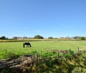 Huis te huur in Ronse - Foto 6