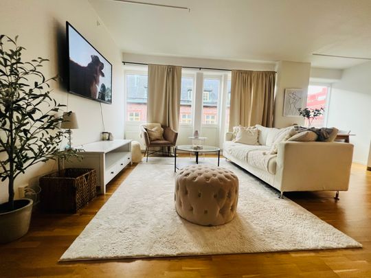 Lilla Brogatan, Borås - Photo 1