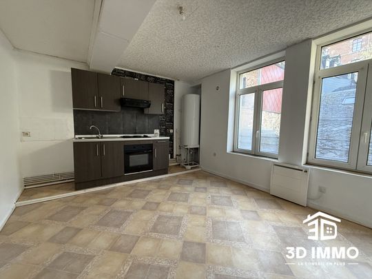 Location Appartement 3 pièces 75m² AVESNES SUR HELPE 59440 - Photo 1