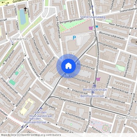 Oude Noorden, 3036 BJ, Bergweg, Rotterdam