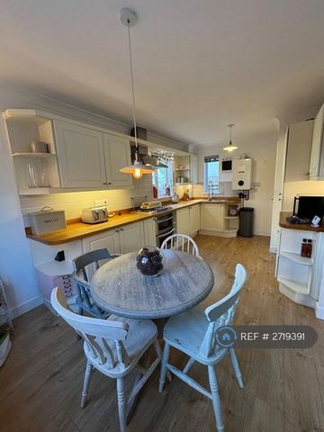 2 bedroom semi-detached house to rent - Photo 4