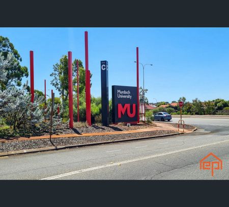 51 South Street, Kardinya, WA 6163 - Photo 4