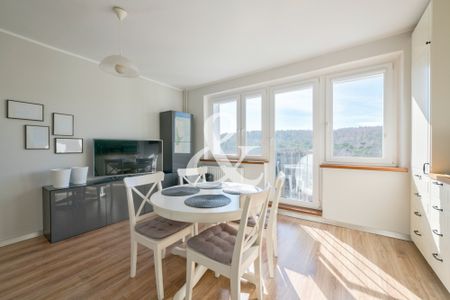 Sopot Brodwino - Zdjęcie 4