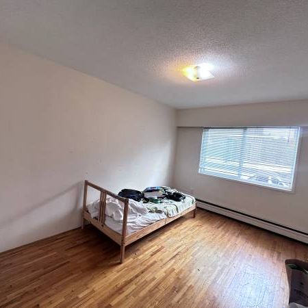 Spacious 1 Bedroom Apartment in Rockland - Photo 1