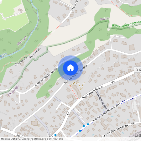 73200, Albertville
