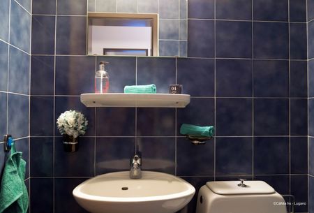 Tranquillità immersa nel verde 4.5 locali - Foto 2