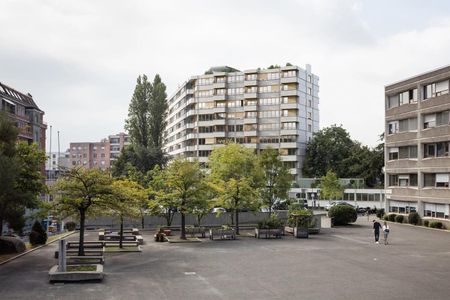 3 Zimmer, 141 m², EG - Photo 3
