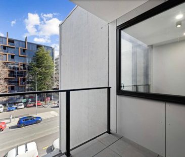 203/42 Mort Street, Braddon ACT 2612 - House For Rent | Domain - Photo 2